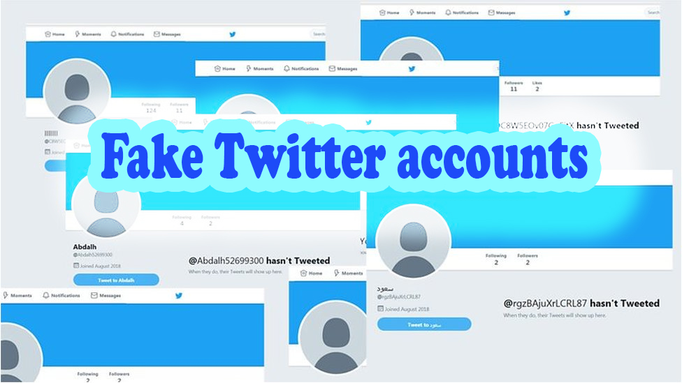 Fake Twitter accounts - Vip-tweet